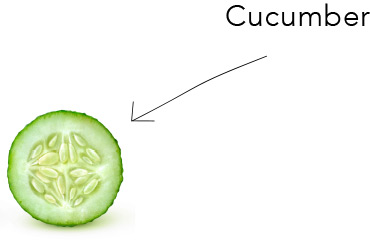 Cucumber