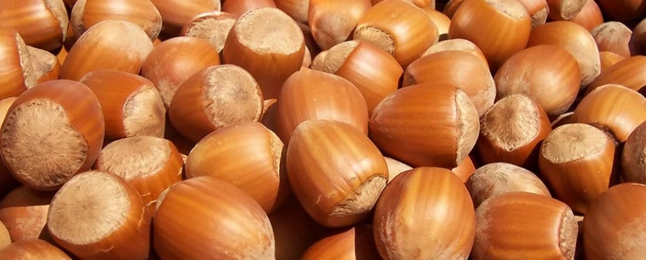 Nut free nut flavours! How did they do that?